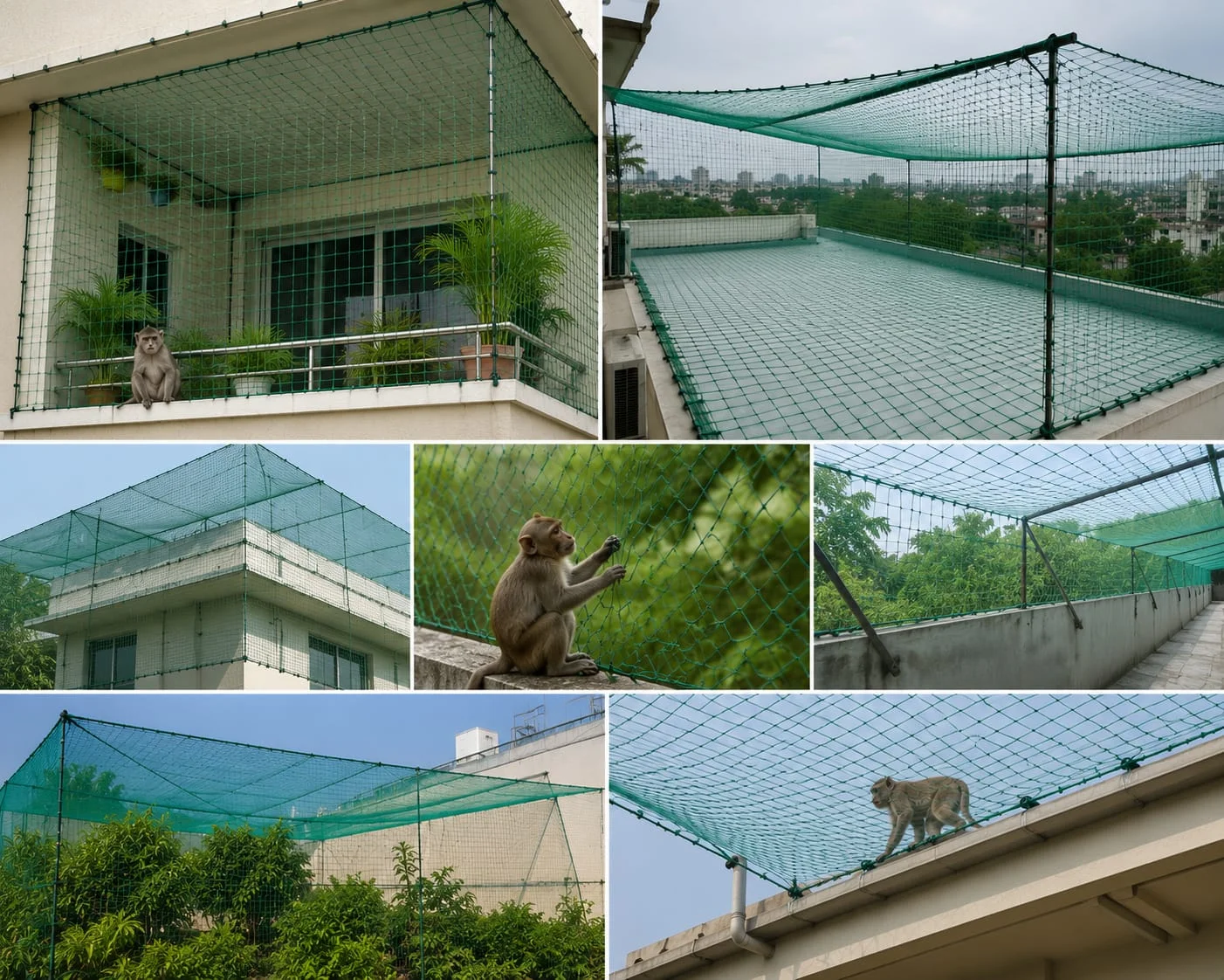 Monkey Safety Nets